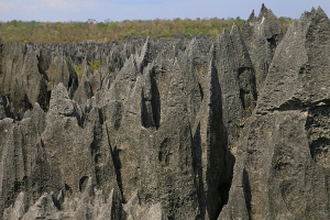 Tsingy de Bemaraha
